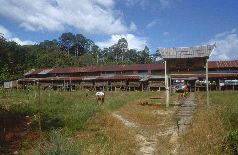 787_Een grote longhouse in het noorden van Sarawak.jpg